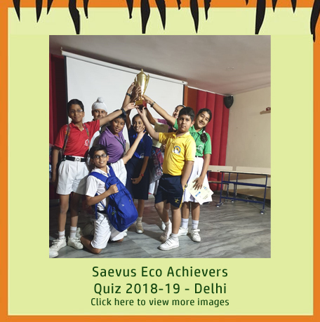 Saevus Eco Delhi Quiz